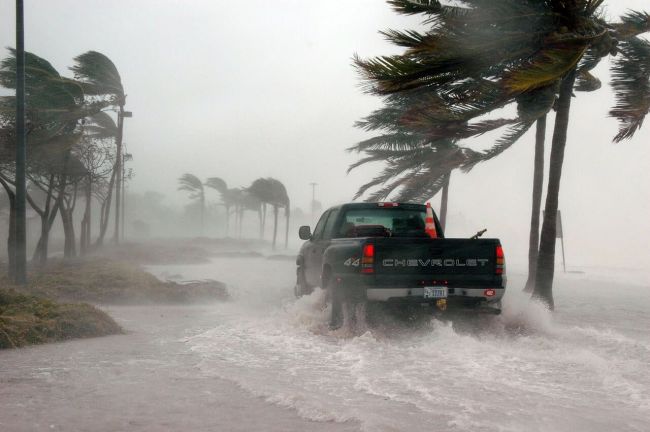 We will transport it, Dealership Hurricane Shipping We will transport it, Dealership Hurricane Shipping