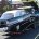 Professional Auto Haulers in Florida professional auto haulers