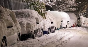 Snowbird Car Shipping St. Louis