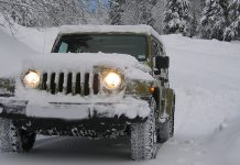 Snowbird Car Shipping Tennessee