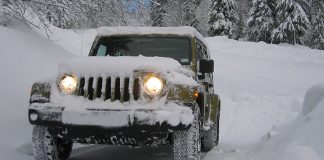 Snowbird Car Shipping Tennessee