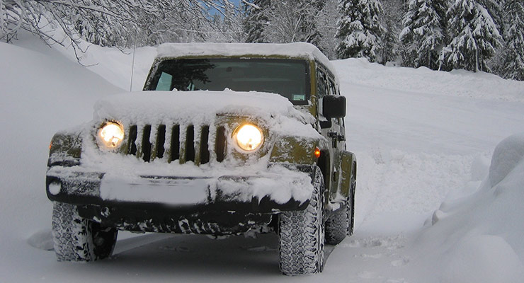 Snowbird-Car-Shipping-Tennessee-we-will-transport-it