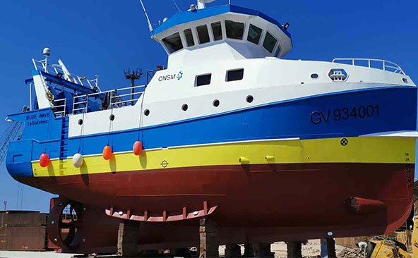 Trawlers transport