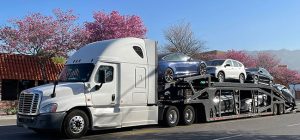 open-car-transport-carrier we will transport it